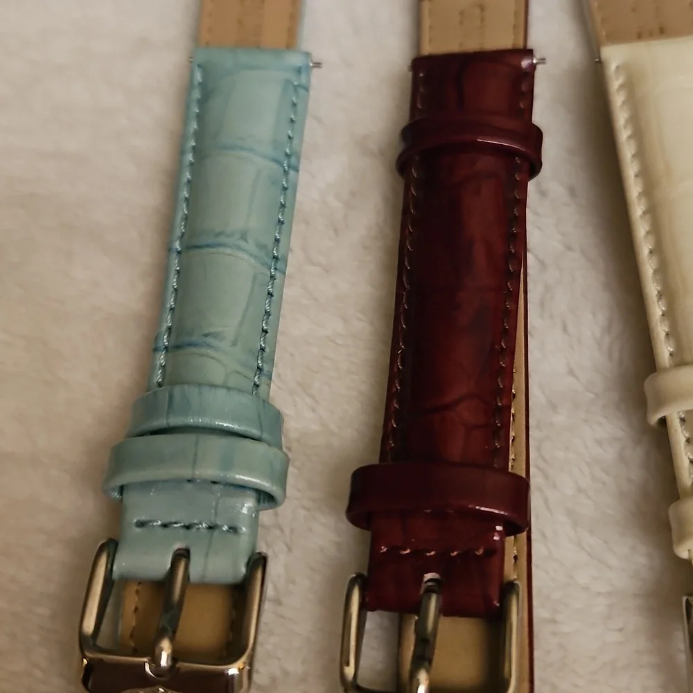 INVICTA Set of Four Size 16 Leather Watch Bands